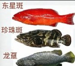 ���ຣ�ʳƺ���ȫ