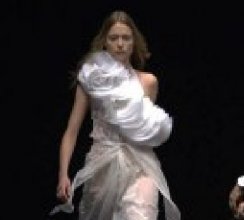 Coccapani 2004�괺��