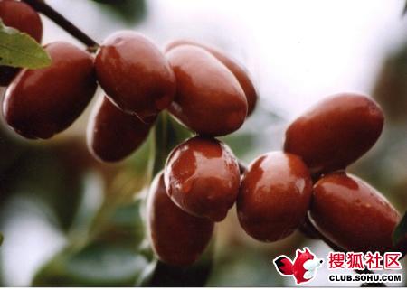 Ů��Խ��ԽƯ���ĺö�����һ�� - yudaichefengjun - yudaichefengjun�Ĳ���