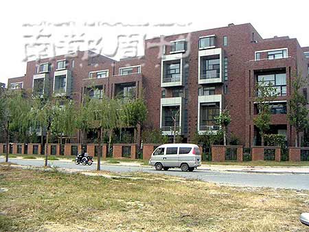 章子怡7