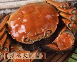 我国最昂贵十大食蟹之阳澄湖大闸蟹(图)