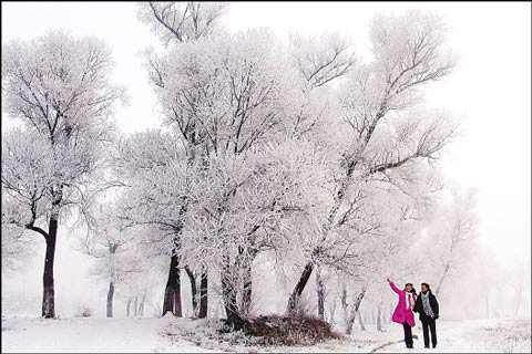 �й���ֵ��ȥ��ѩ��5���ط�(��ͼ)