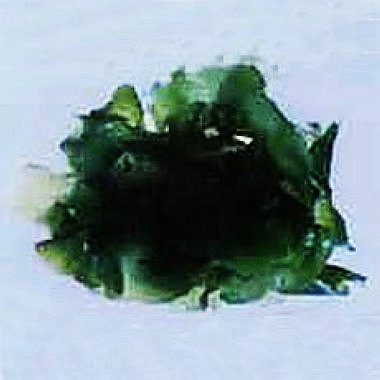 �ò�