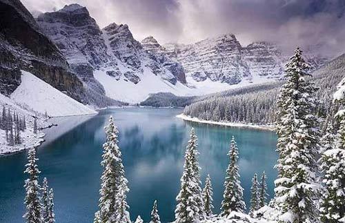 ���ɽ���ĸ�Զ