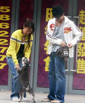 点击查看下一页