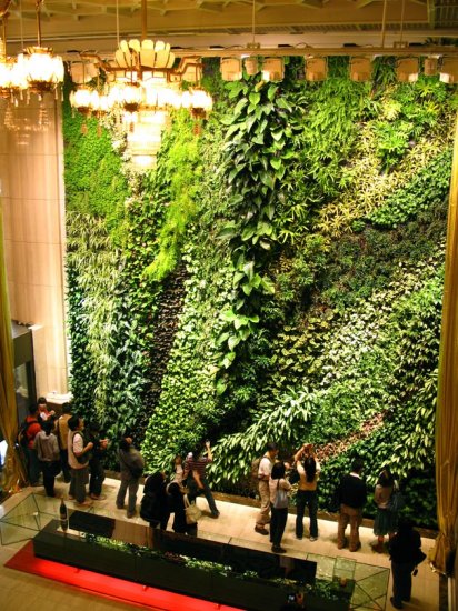 垂直花园,空间更美丽