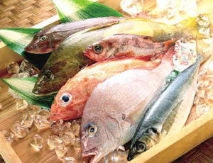 日本老人长寿食物 - 兰森 - 兰森博客 点击进入下一页
