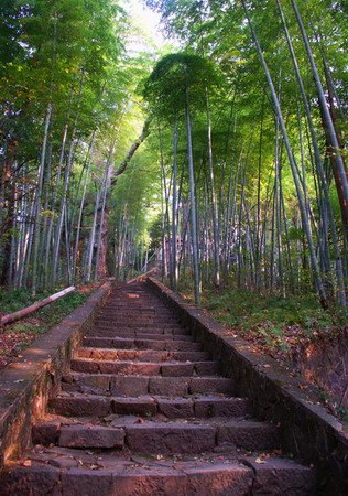 轻风凉袭衣 轻风凉袭衣