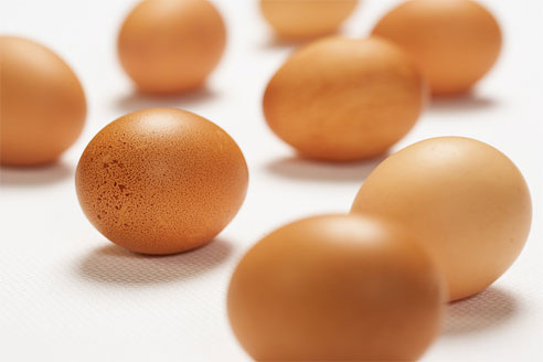 Eggs and Nutrition