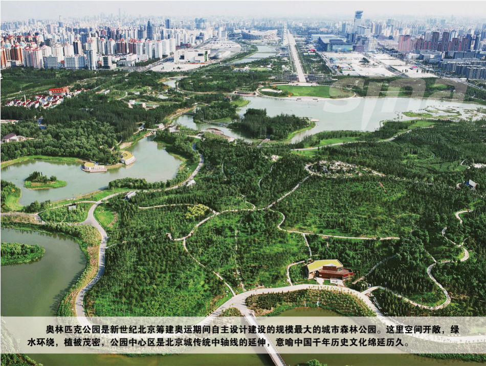 ��Ǿ�������ʮ�����������ʧ