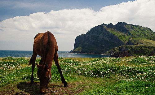 韩国济州岛