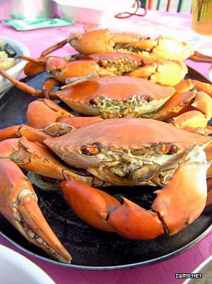 广州2小时生活圈海鲜饕餮之旅 广州2小时生活圈海鲜饕餮之旅