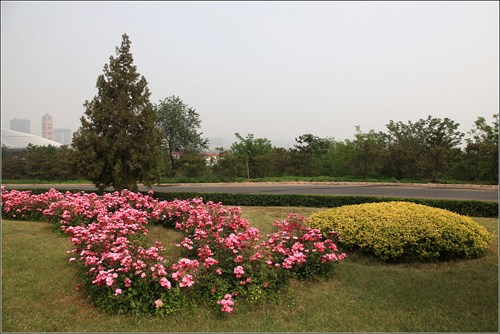 老山郊野公园 老山郊野公园