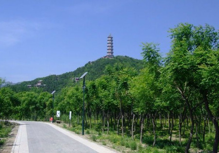 玉东郊野公园 玉东郊野公园