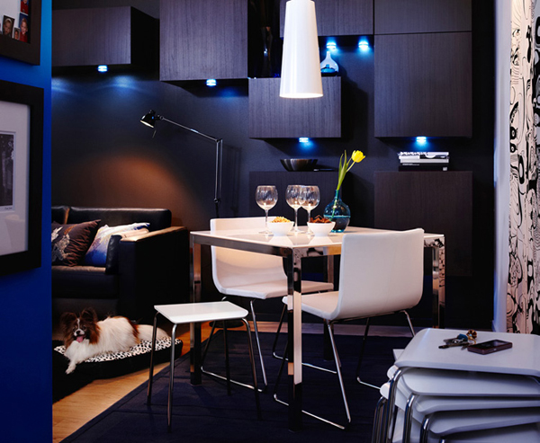 �˼�2010��Ҿ�������� - ���һ�� - zjf821116�Ĳ���