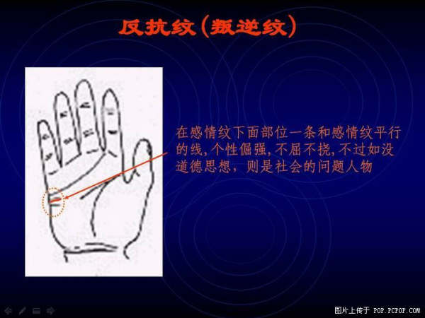 ���ĵ����� - qizigu - һ��һ����