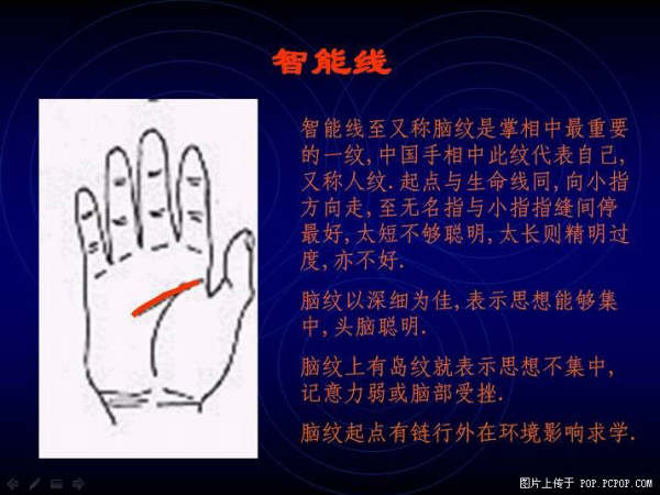 ���ĵ����� - qizigu - һ��һ����