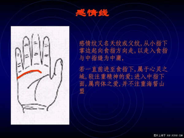 手心的秘密 - qizigu - 一字一世界 手心的秘密 - qizigu - 一字一世界