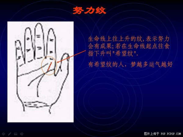 手心的秘密 - qizigu - 一字一世界 手心的秘密 - qizigu - 一字一世界
