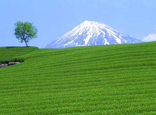 东京
