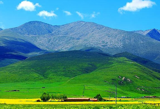 青海湖畔 青海湖畔