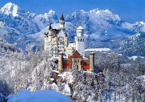 ȫ��ʮ����߱�־�ԵĽ��� - ���ɲ��� - ֦��Ҷï��ףԸ������ٲ�ʢ����