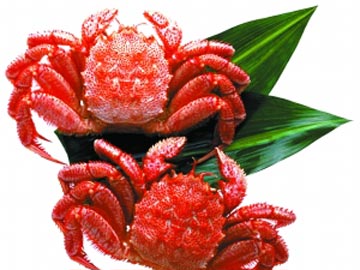 北京吃蟹的好地方