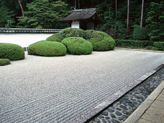 精品消费网 精品消费网
