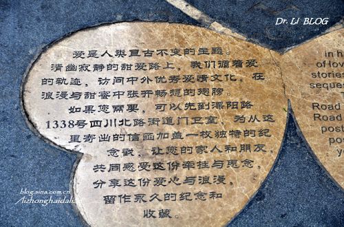 爱的四叶草 爱的四叶草