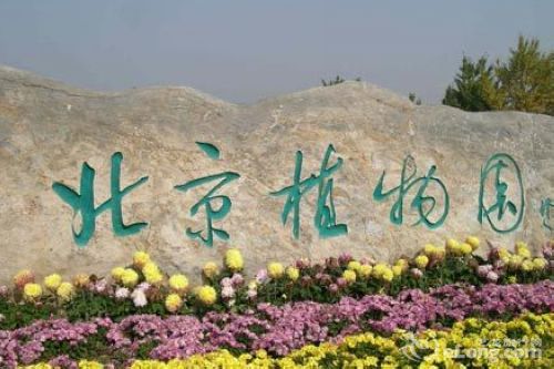 北京植物园旅游景点图片 精品消费网