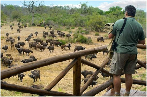 精品消费网 精品消费网