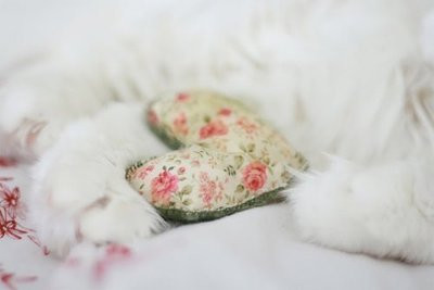 精品消费网 精品消费网