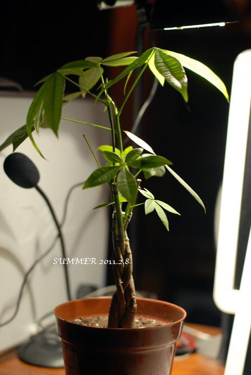 精品消费网 精品消费网