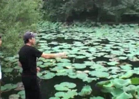 精品消费网