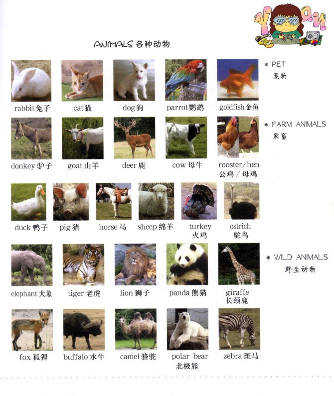 很好的teaching material - 飞 - 野蜂飞舞