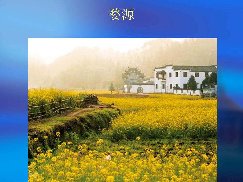 精品消费网
