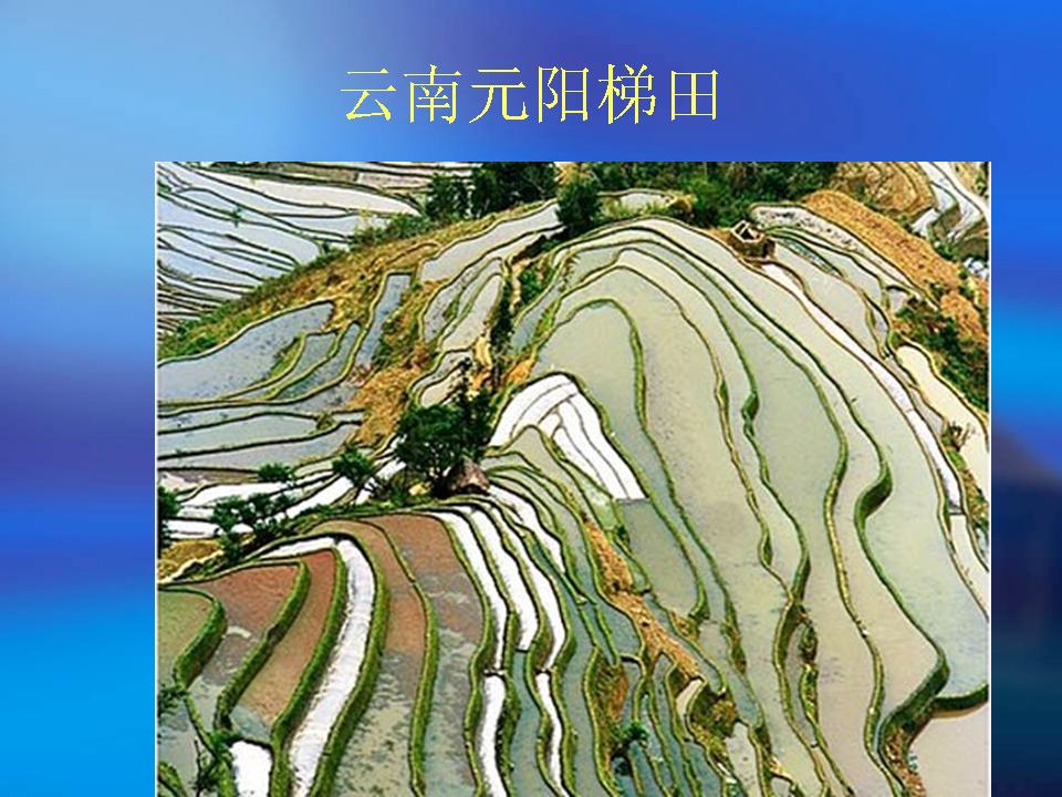 精品消费网