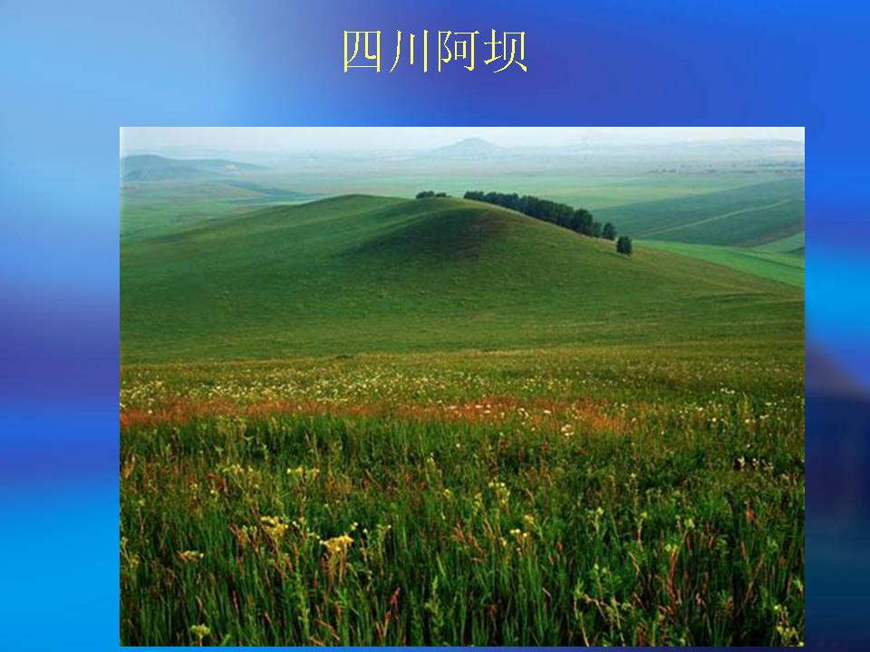 精品消费网