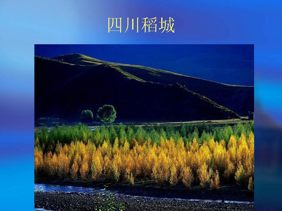 精品消费网