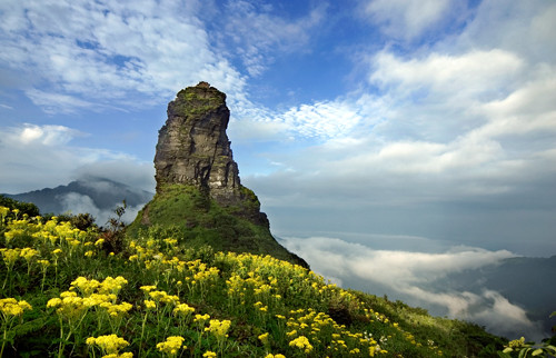 隐遁森林新发现:七个感受宁静大自然的好地方 - 梵天净土——梵净山 - 梵净山——名山之宗