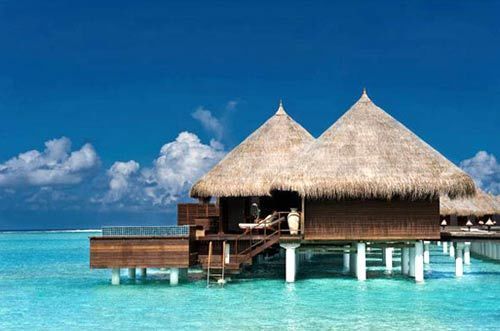 ��Ʒ������
