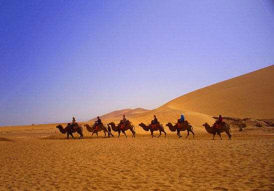 �������� <wbr>�Ƽ�����ר�����ε�