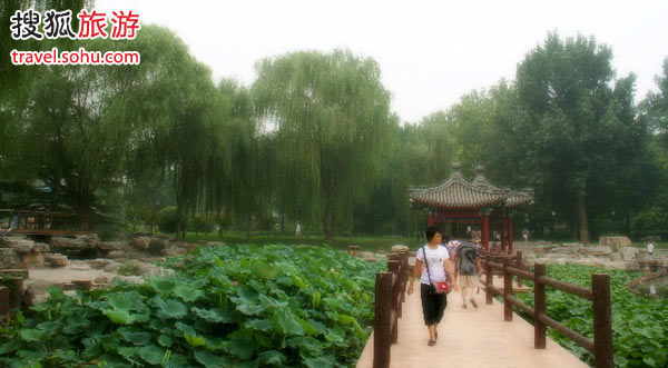 感谢搜狐网友“孤独行者”提供图片!