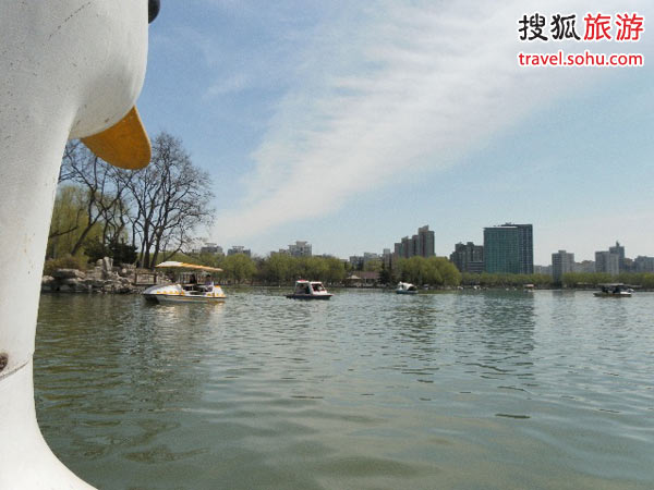 感谢搜狐网友“为我们喝彩”提供图片!