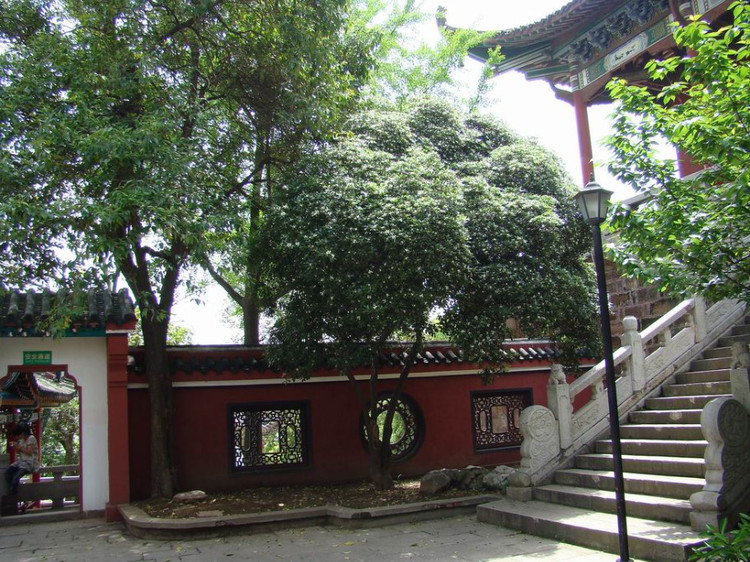 �й���ʷ��¥���� - zhangqiang6813 - �������ϵ�Ȥζ����