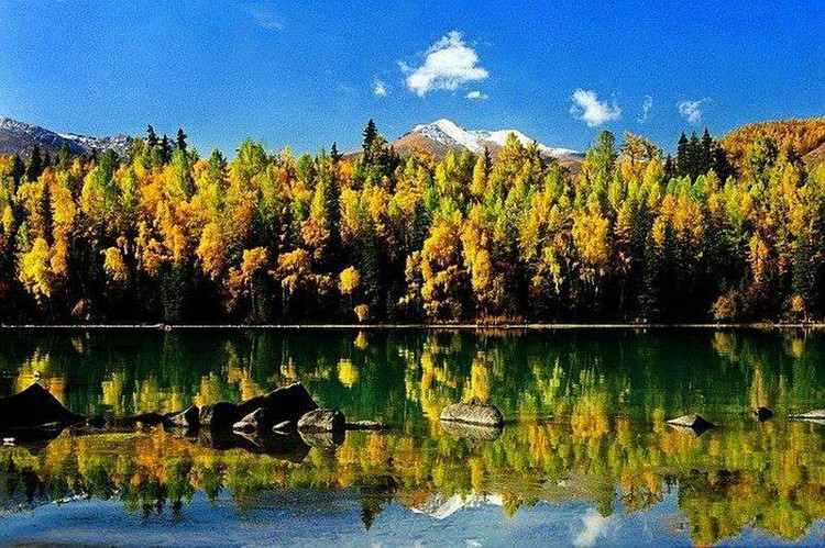 ��ý�������й�������20������ - ����ɽң - .