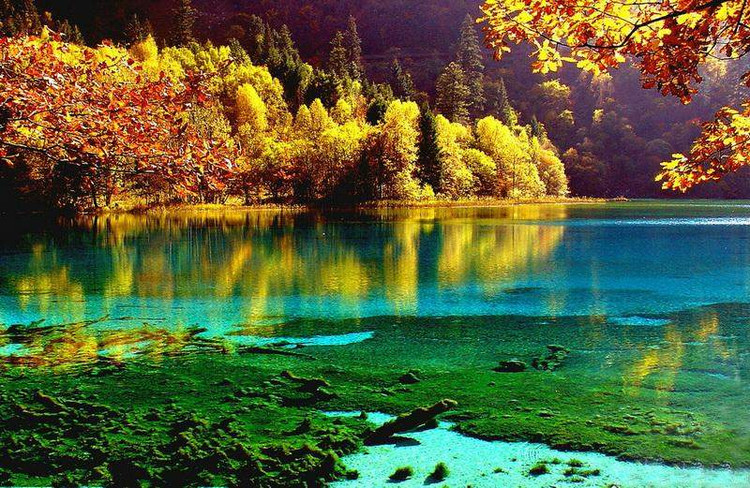 ��ý�������й�������20������ - ����ɽң - .