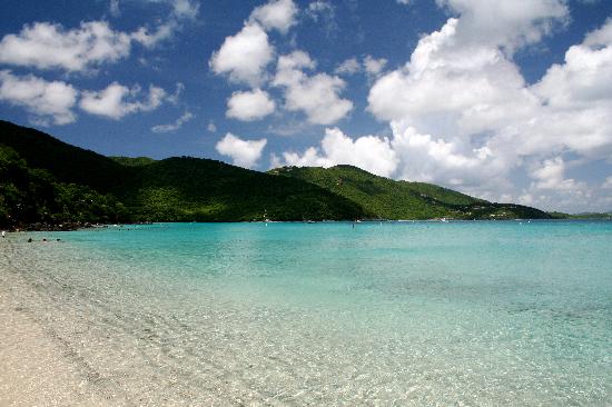 Francis Bay